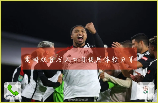 爱游戏官方入口与使用体验分享