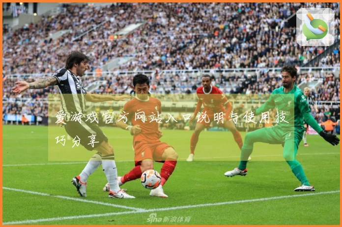 爱游戏官方网站入口说明与使用技巧分享