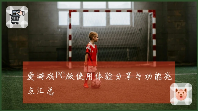 爱游戏PC版使用体验分享与功能亮点汇总