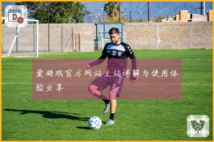 爱游戏官方网站主站详解与使用体验分享