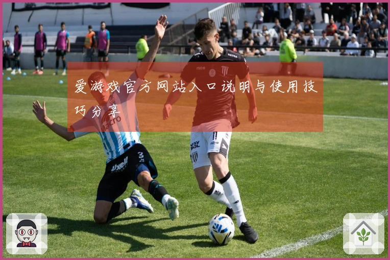 爱游戏官方网站入口说明与使用技巧分享